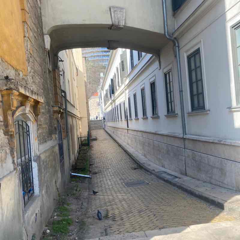 🍓🇨🇭Judit Gasser 🏝️🇭🇺🌹 post 3