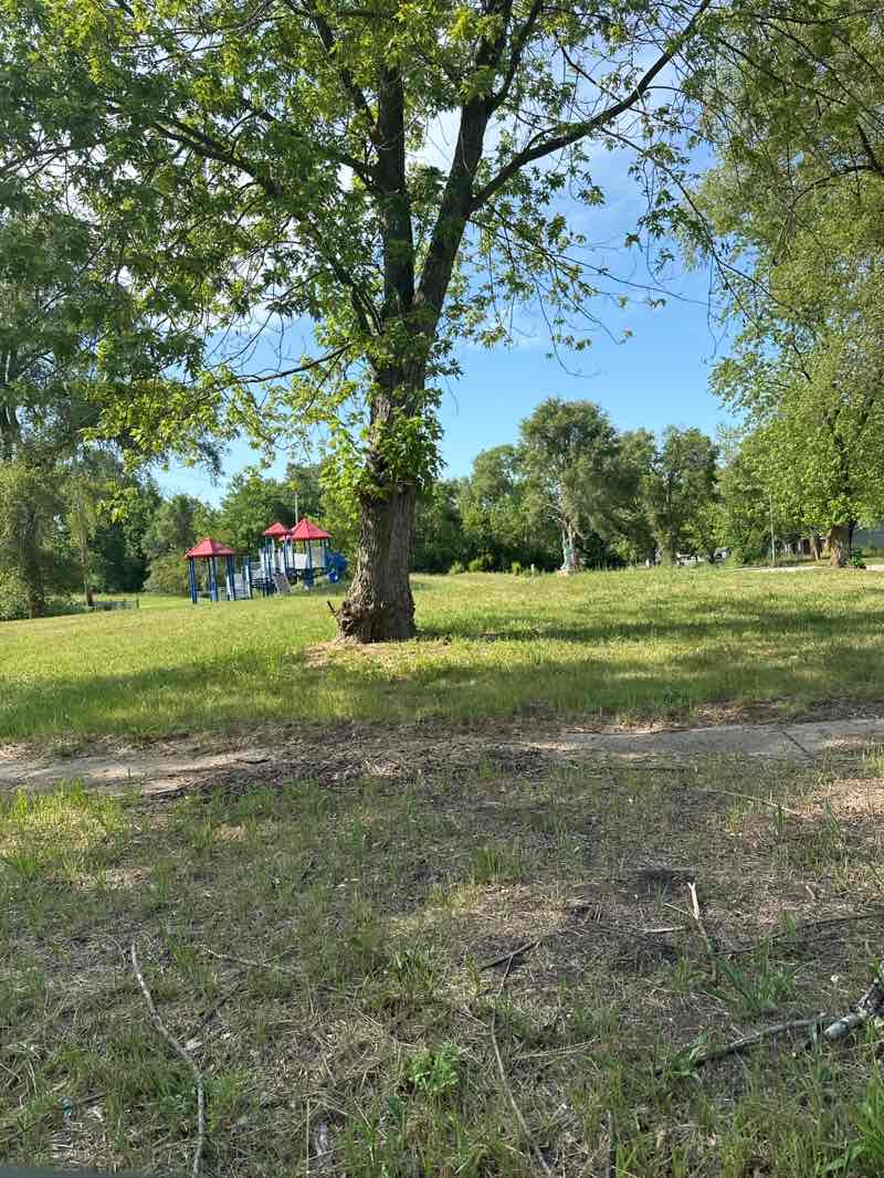 walking near me in June LaBroi Park in summer