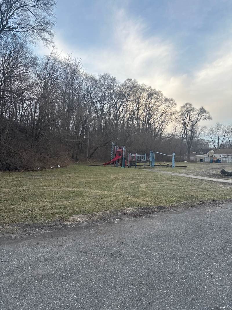 walking near me in Idle Hour Park in winter