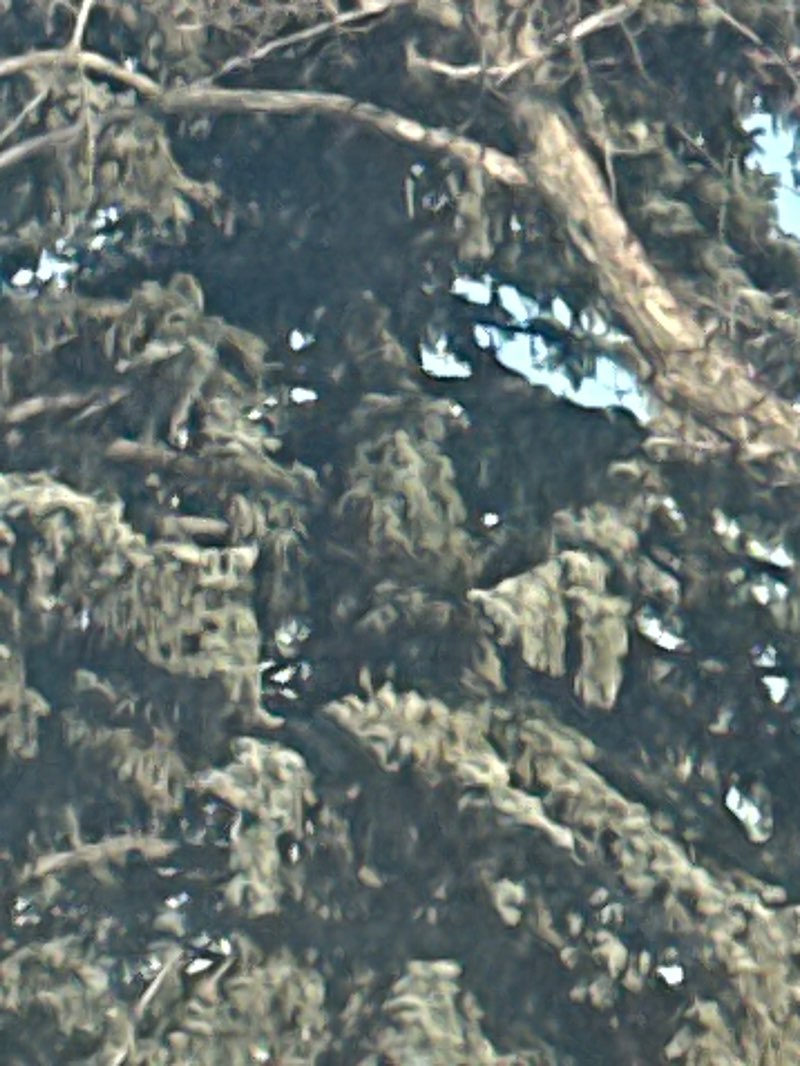 walking near me in Stevenson Park in winter