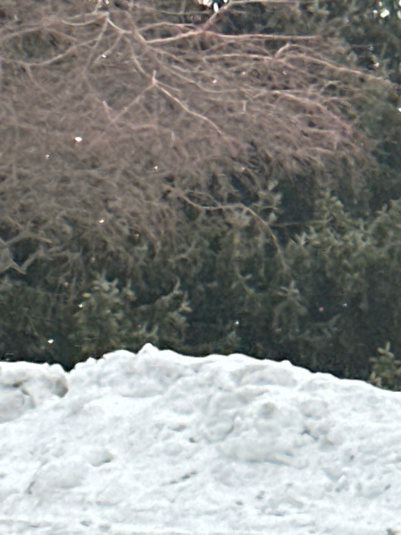 walking near me in Frank Gilbert, Jr. Monument Park in winter