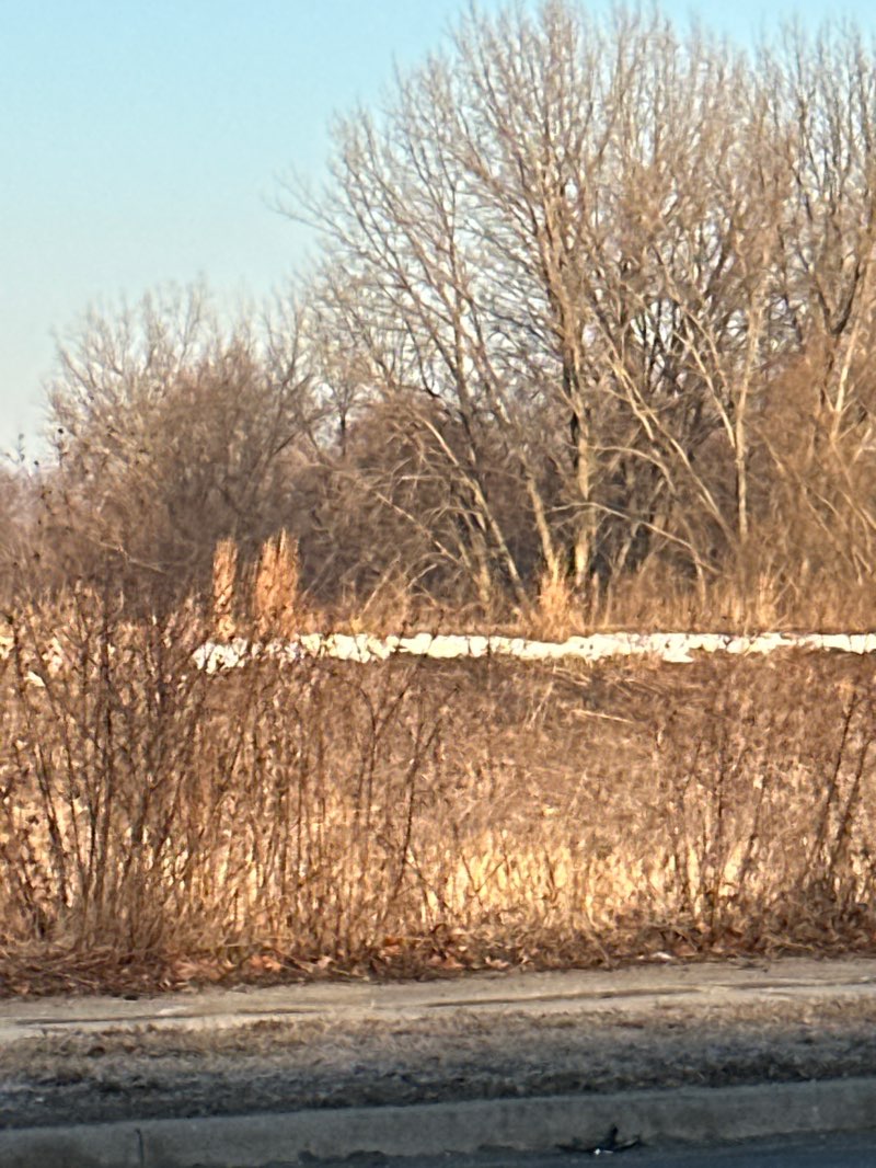 walking near me in Gleason Park in winter