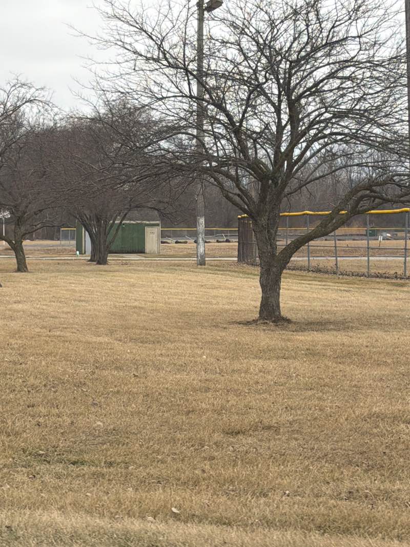 walking near me in Hillman Park in winter