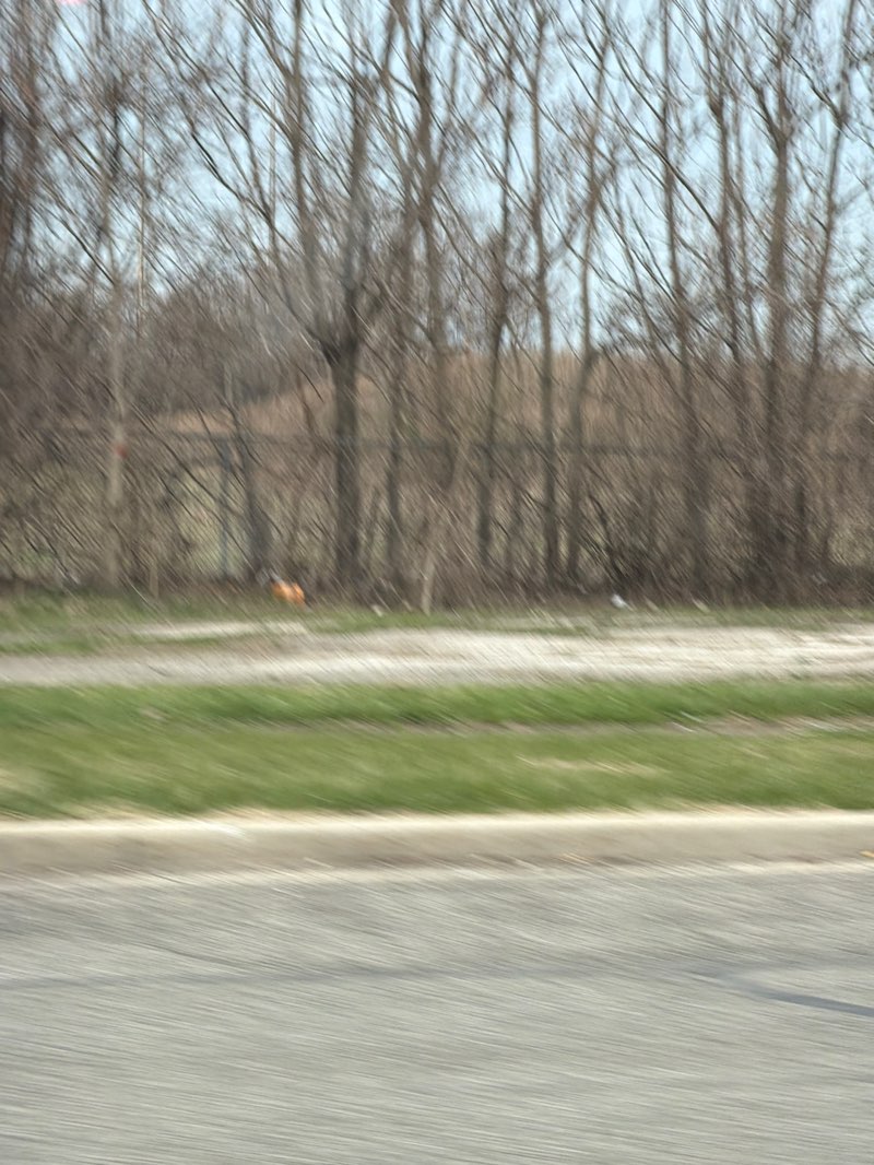 walking near me in Gleason Park in spring