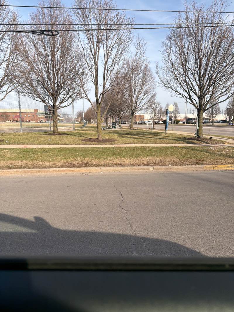 walking near me in Stevenson Park in spring