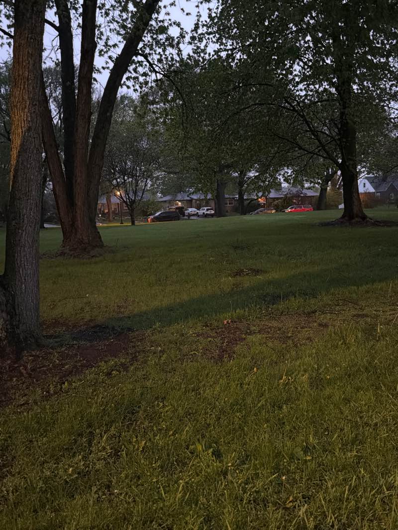 walking near me in Baring Parkway in spring