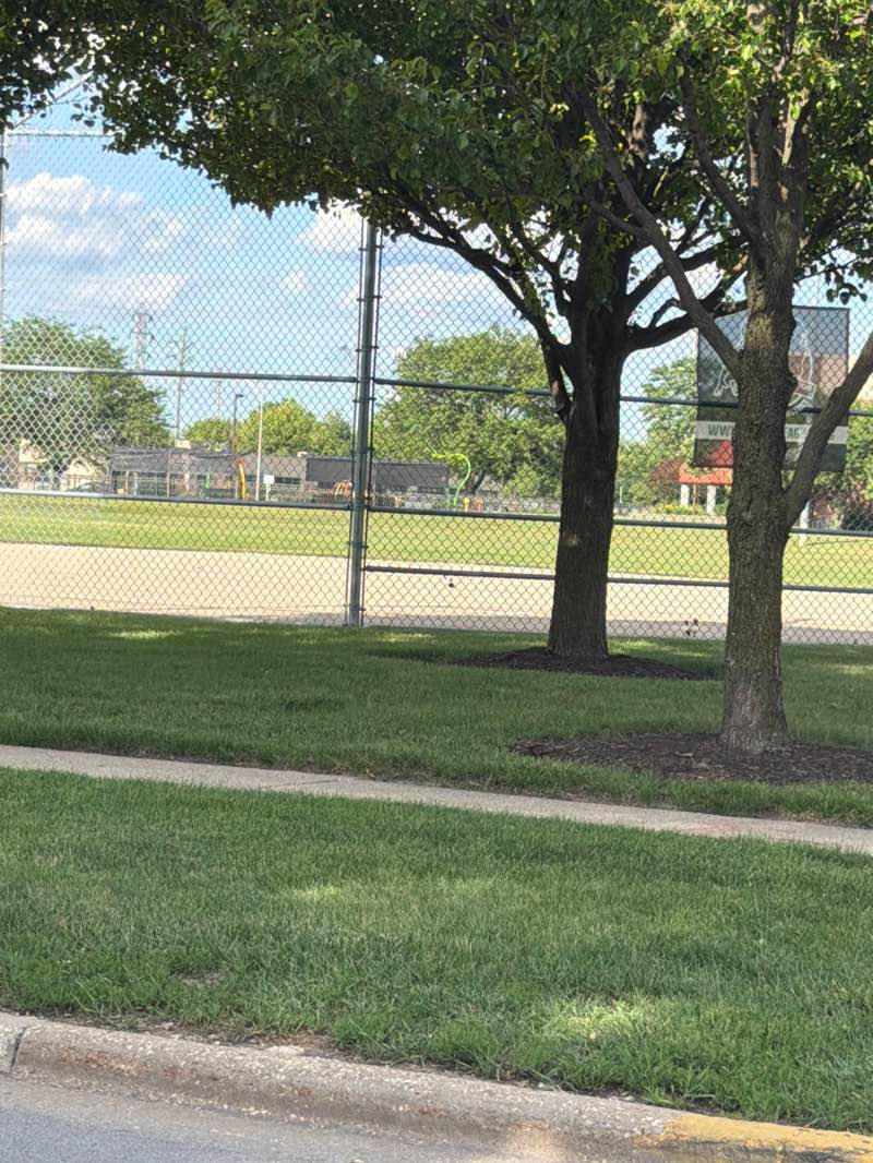 walking near me in Stevenson Park in summer