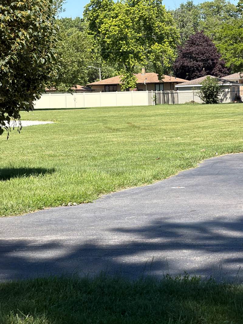 walking near me in Beech Park in summer