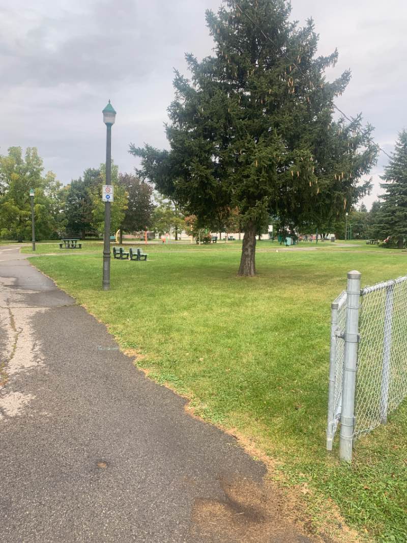 walking near me in Parc Jean-Béliveau in winter