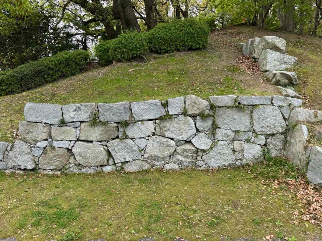 walking near me in 城山公園 in spring