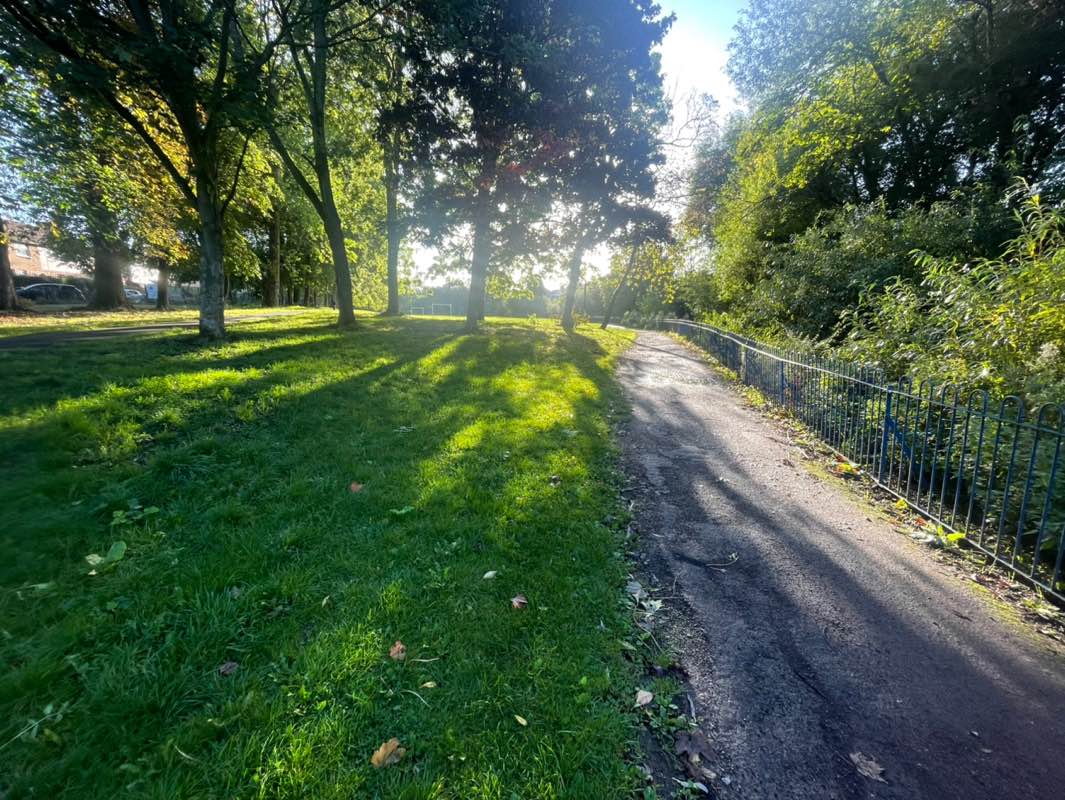 walking near me in Hull Road Park in autumn