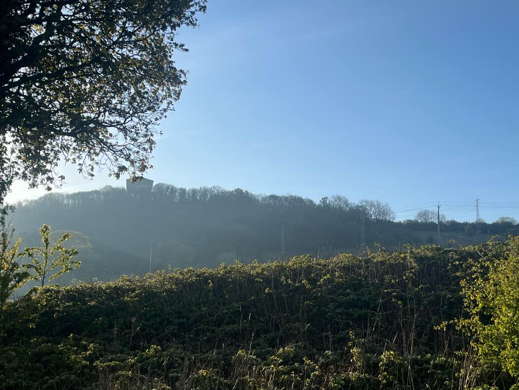walking near me in Penshaw Park in winter