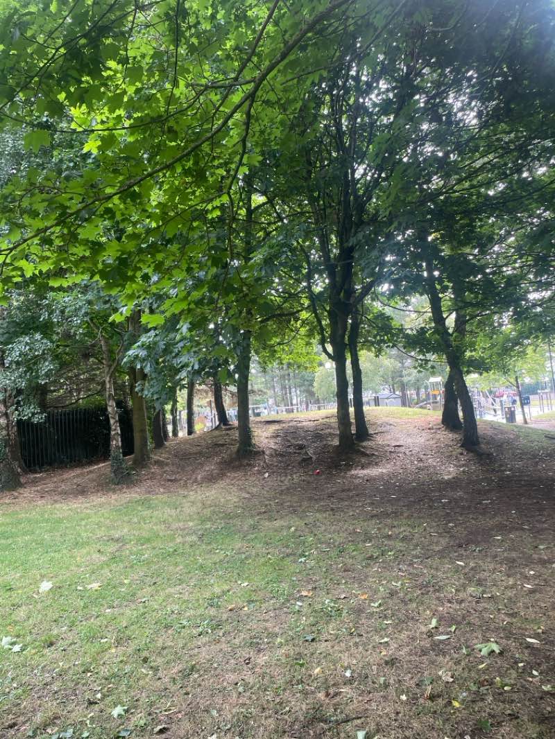 walking near me in Legg Park in summer