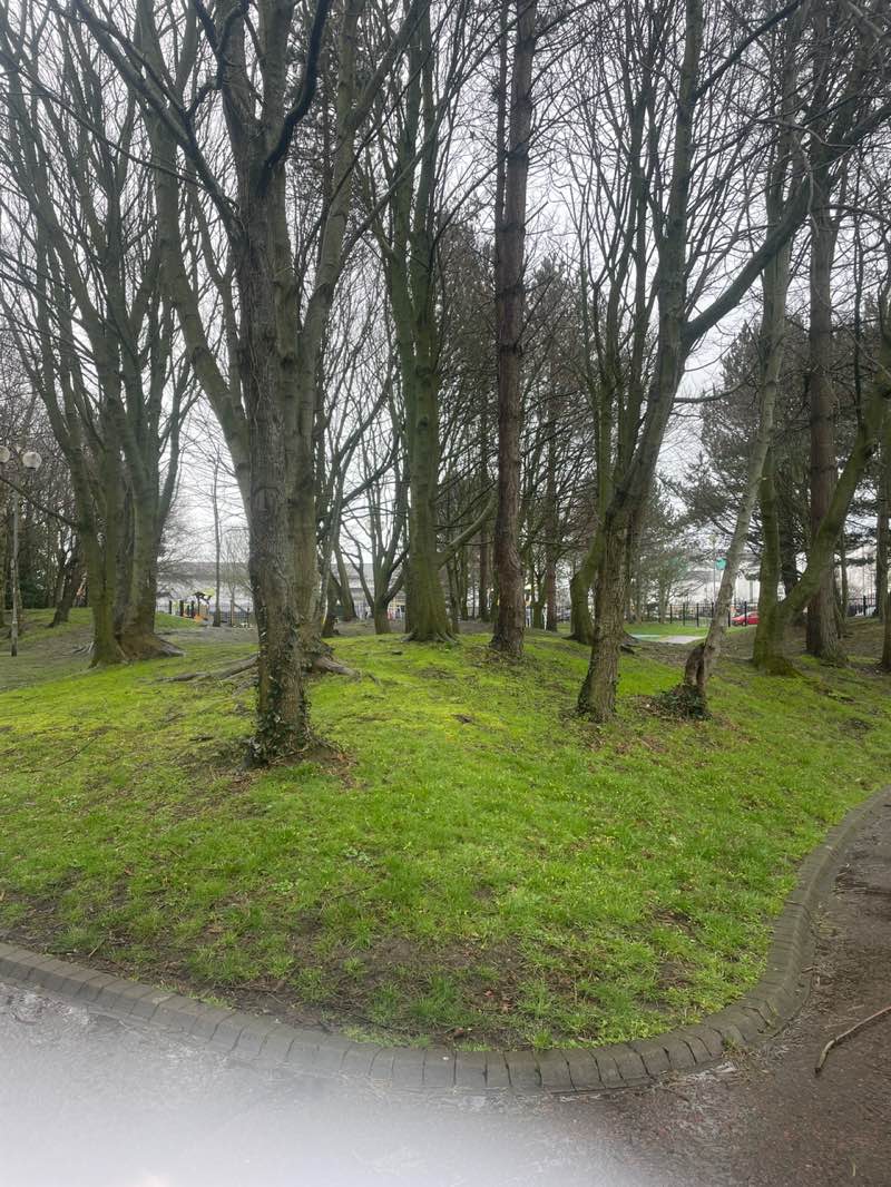 walking near me in Legg Park in spring