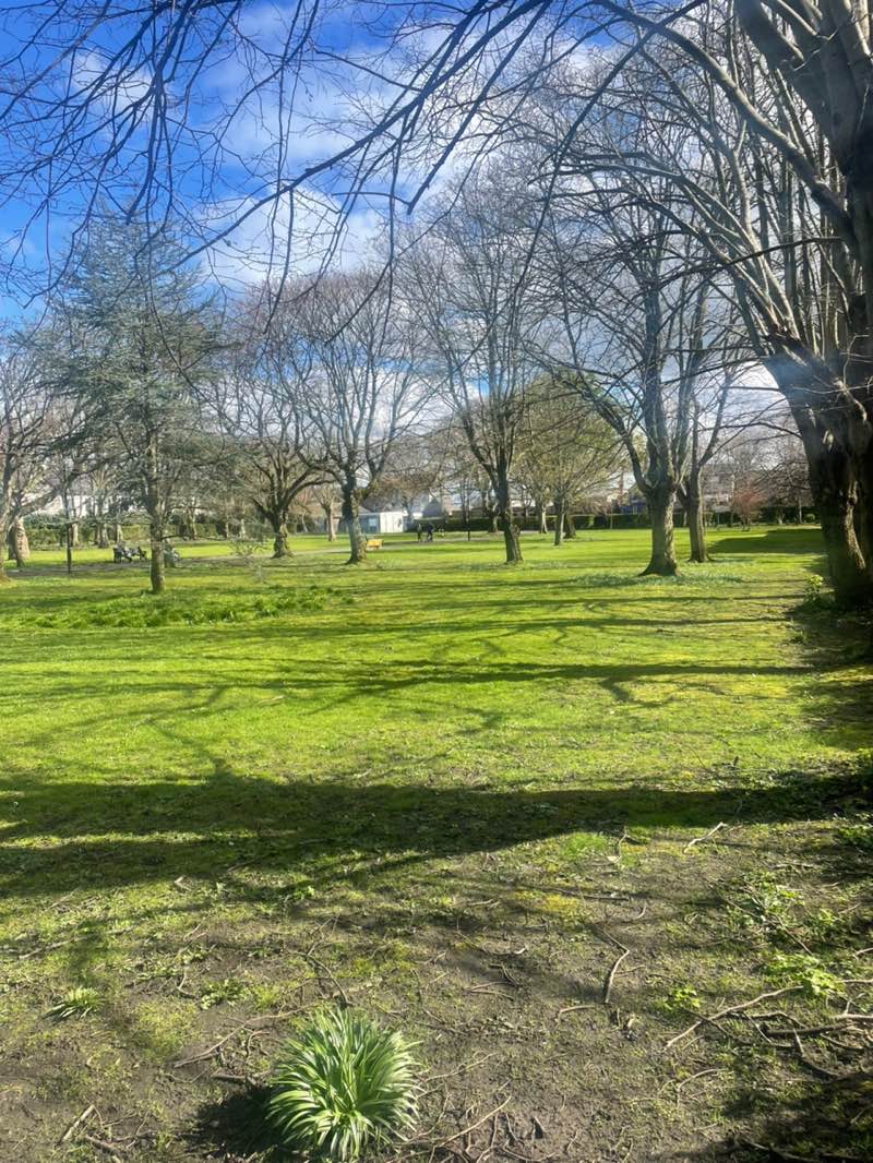 walking near me in Shaftsbury Park in spring
