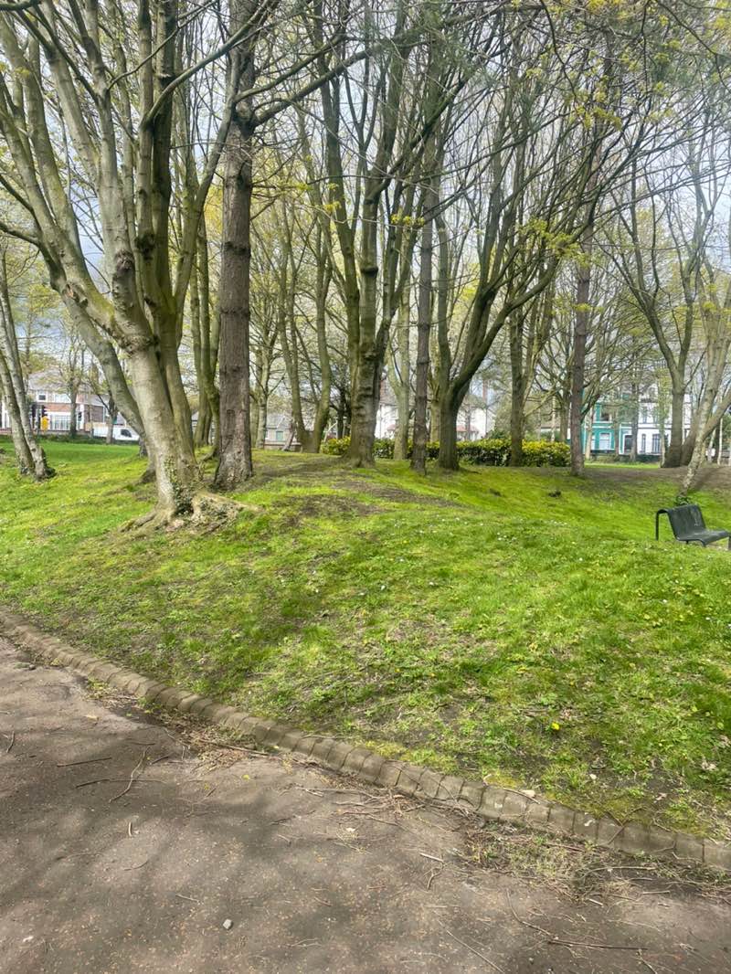 walking near me in Legg Park in spring