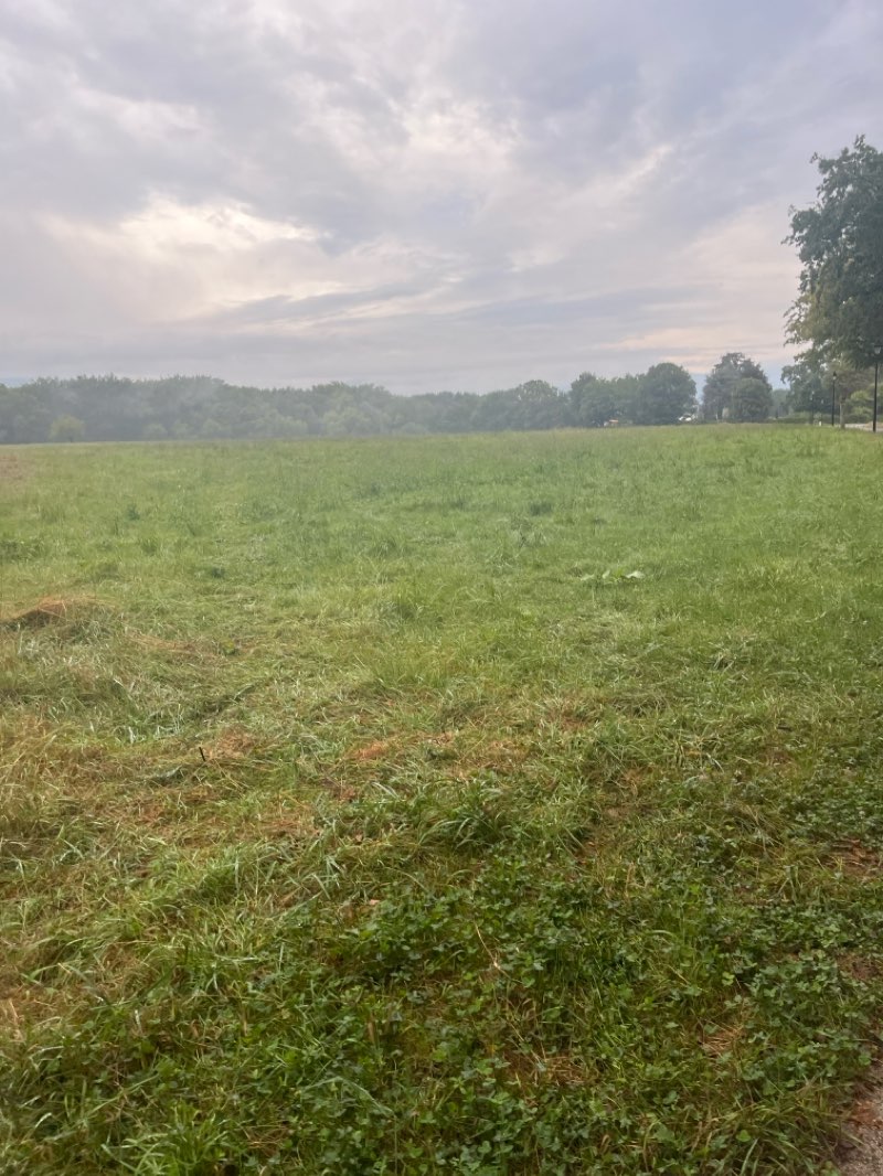 walking near me in Parc de la Becassine in winter