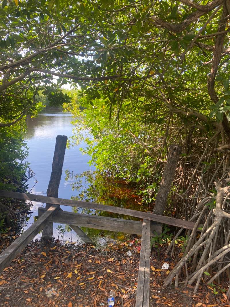 walking near me in Parque de Puerto Morelos in winter