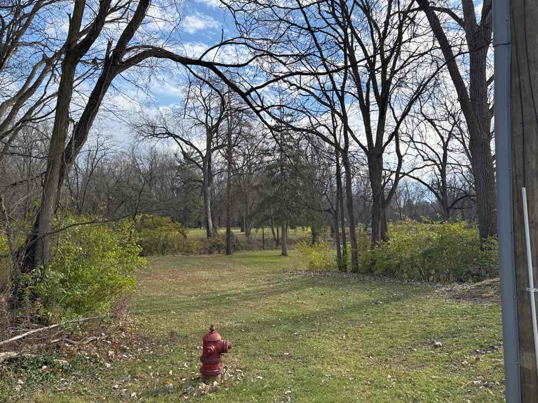 walking near me in Ferguson Park in autumn