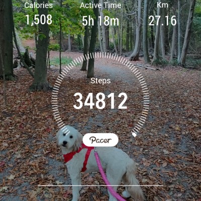 John MacKenzie post 1