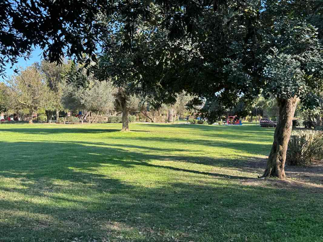 walking near me in Parco di Terramaini in winter