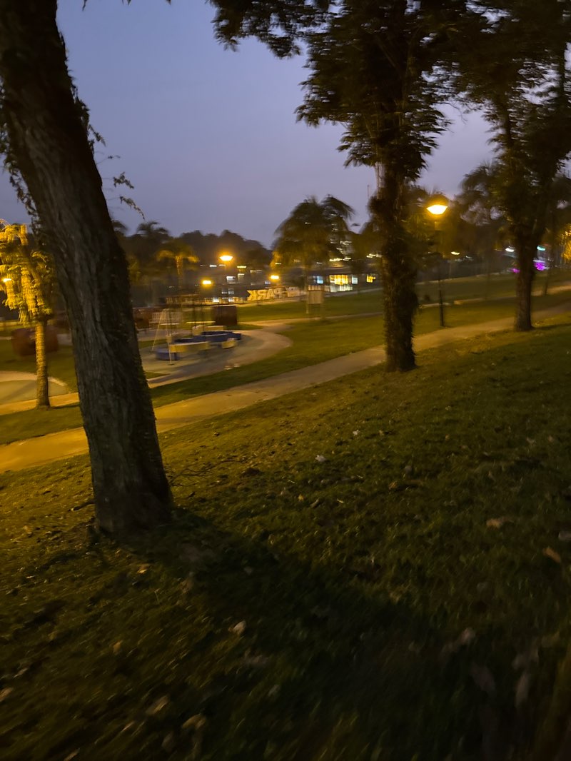 walking near me in S2 City Park in winter