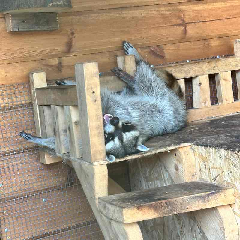 DenKo🇪🇪🇷🇺 post 3