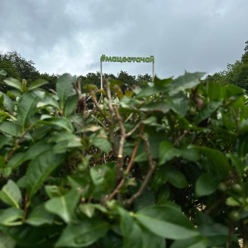 DenKo🇪🇪🇷🇺 post 1