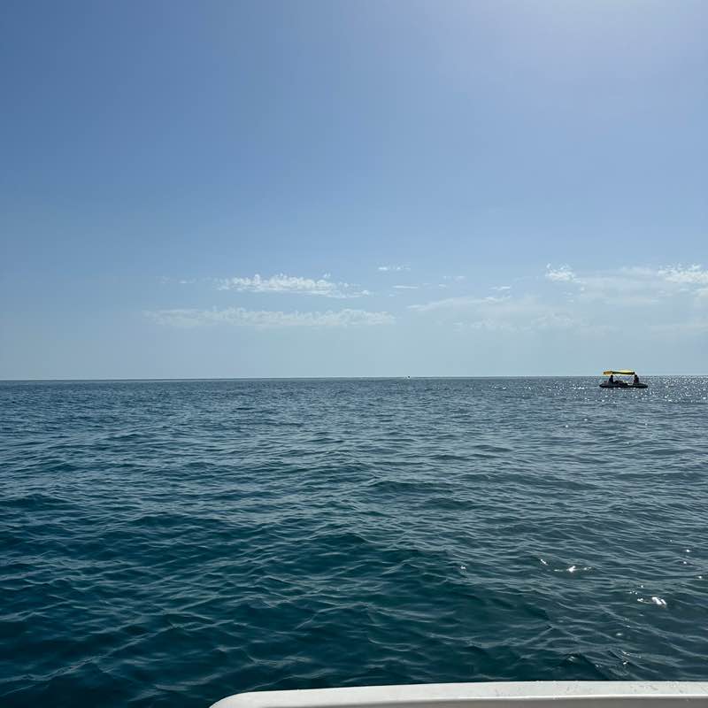 DenKo🇪🇪🇷🇺 post 3