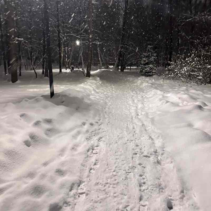 DenKo🇪🇪🇷🇺 post 1