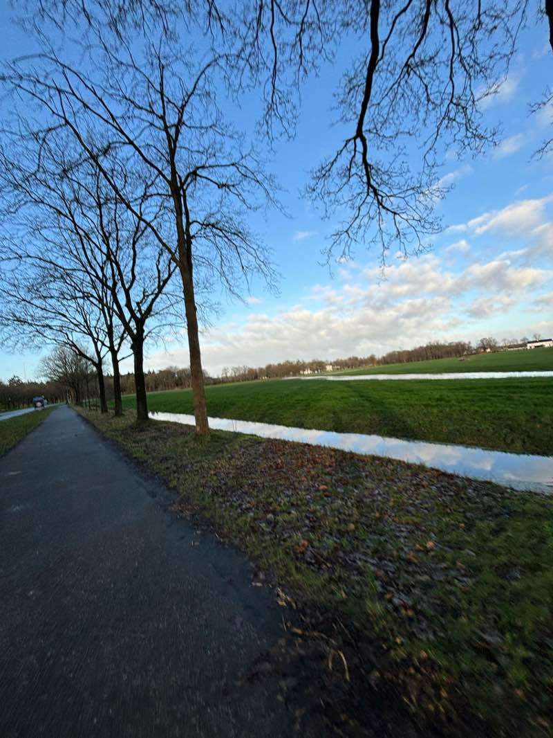 walking near me in Park Randenbroek in winter