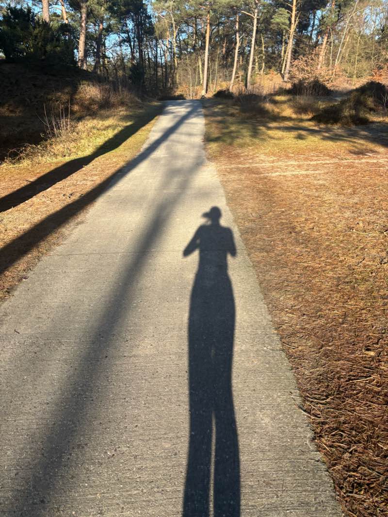 walking near me in Park van Randwijcklaan in winter