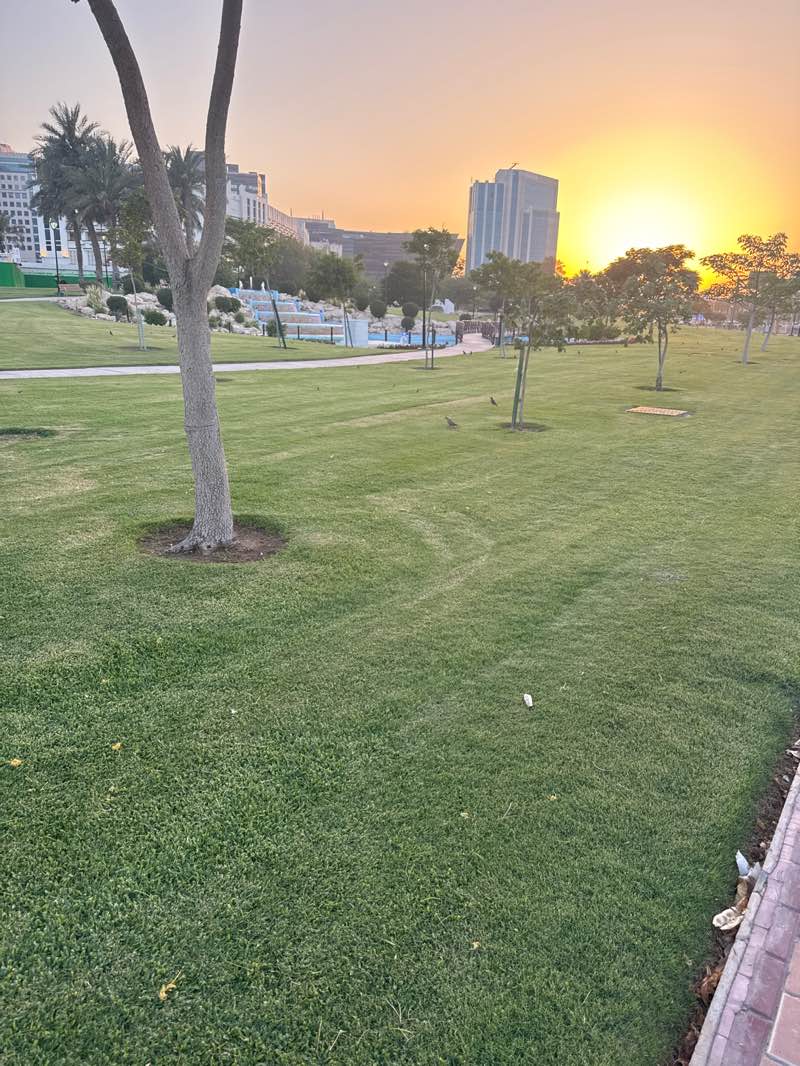 walking near me in Salata Park in spring