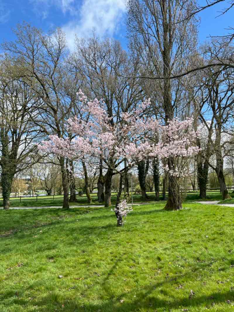 walking near me in Choisel in spring