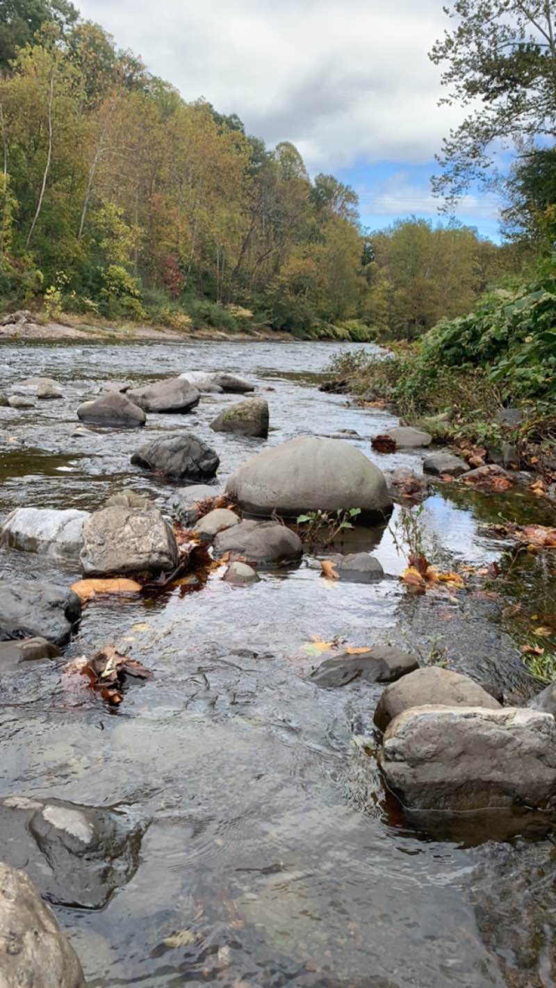 walking near me in Jay Albertson Park in winter