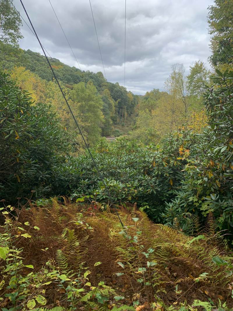 walking near me in Glen Park in winter