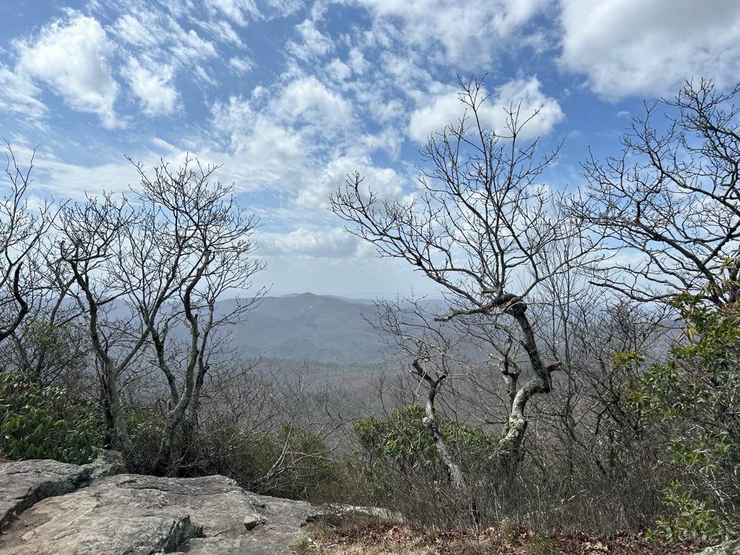 walking near me in Blood Mountain Wilderness in spring