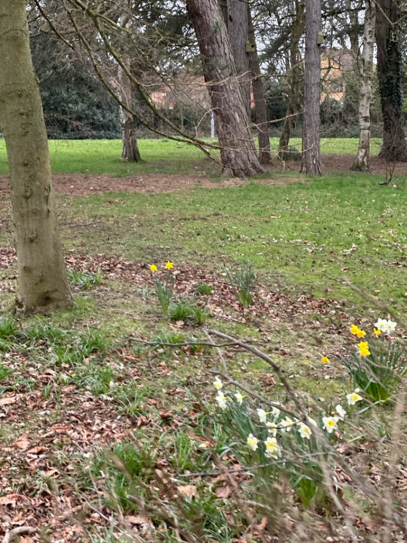 walking near me in Grangefield Park in spring