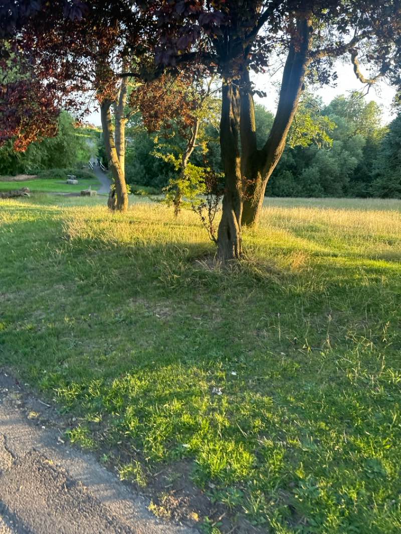 walking near me in Newham Grange Park in autumn