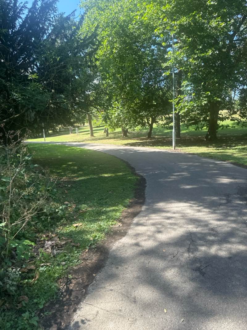 walking near me in Primrose Hill Park in autumn