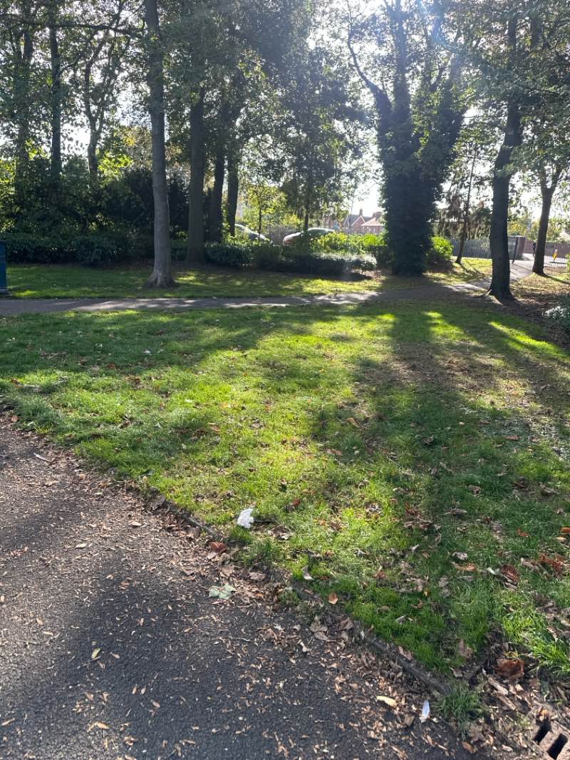 walking near me in Ropner Park in autumn