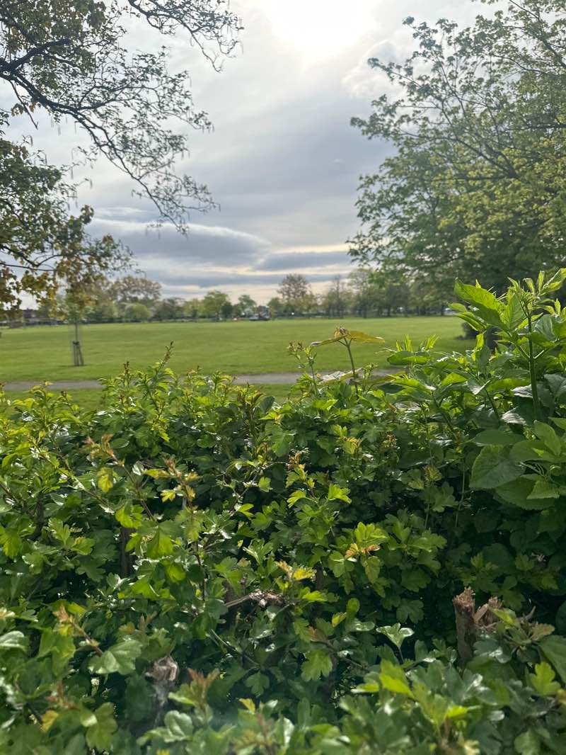 walking near me in John Whitehead Park in spring