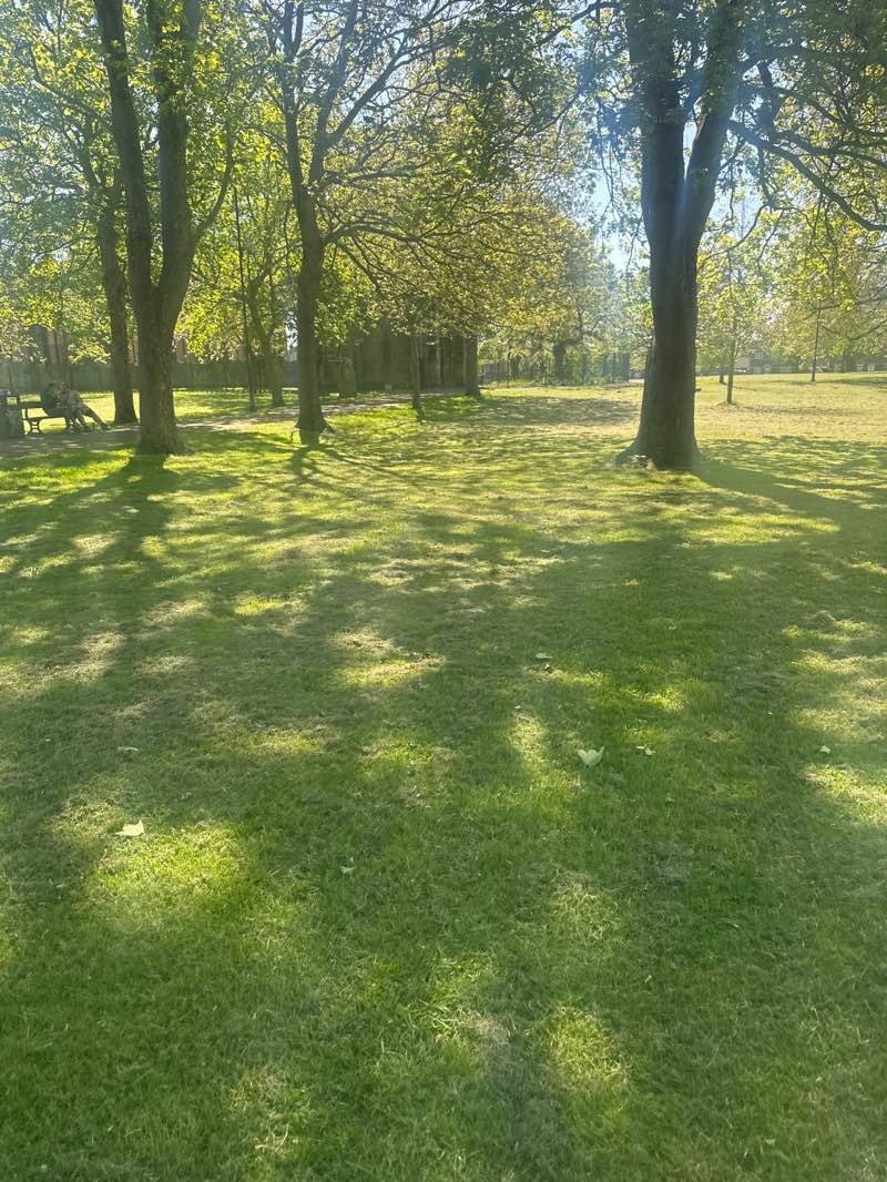 walking near me in Trinity Green in spring