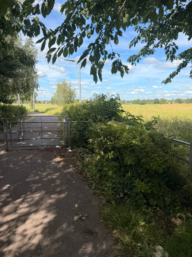 walking near me in Hengrove Park in summer