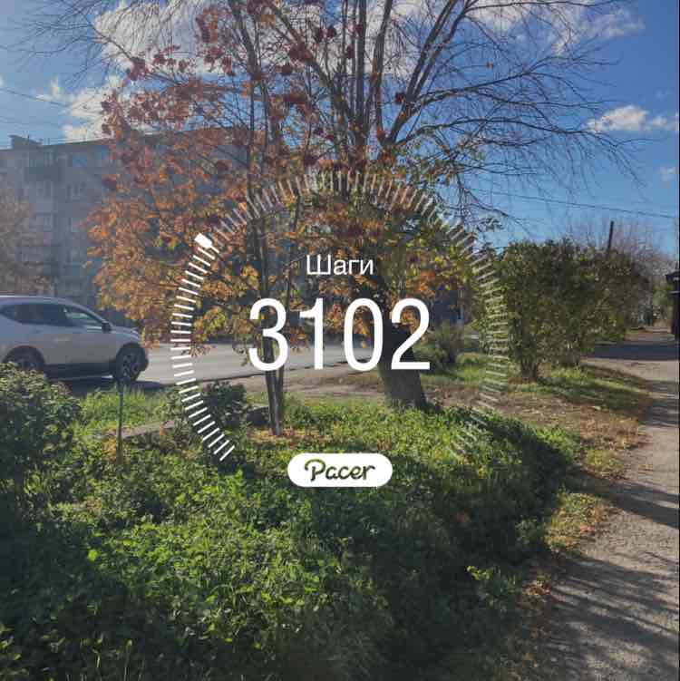 Вероника post 1