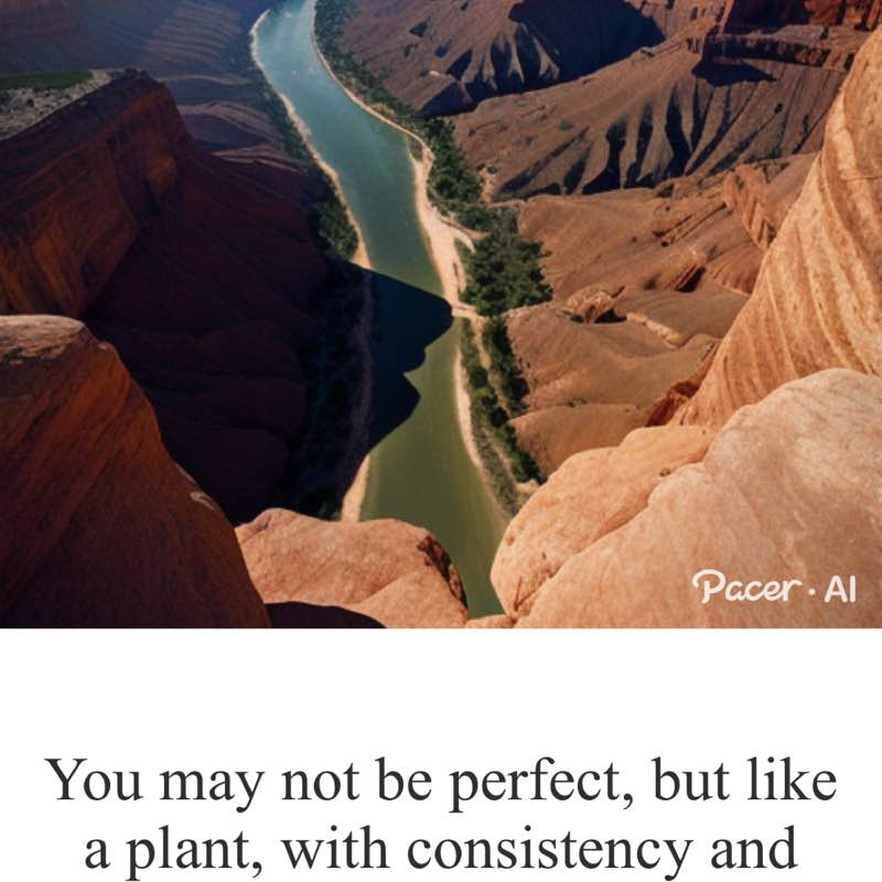 anton.dehipitiarachchi post 1