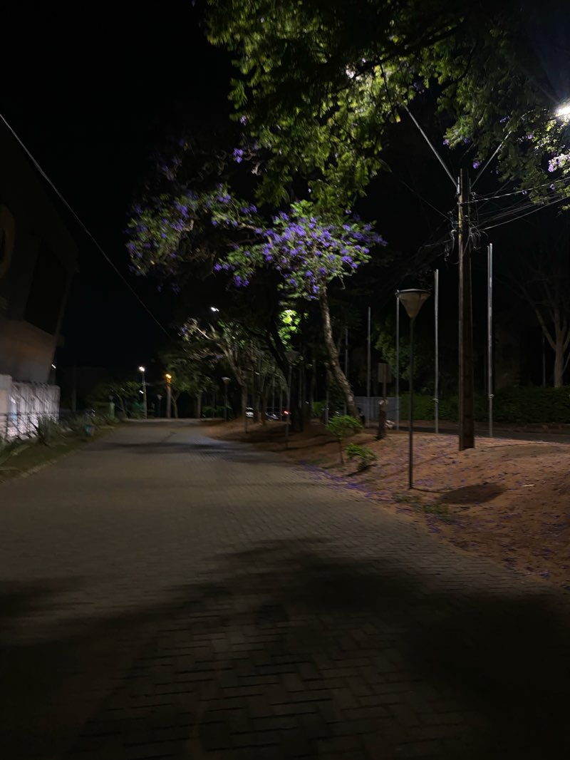 walking near me in Jockey Club Paraguayo in summer