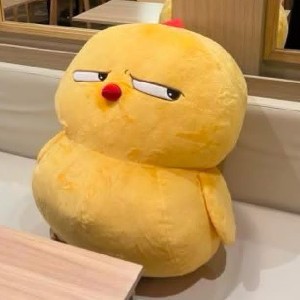 Attiqa Mukhtar profile