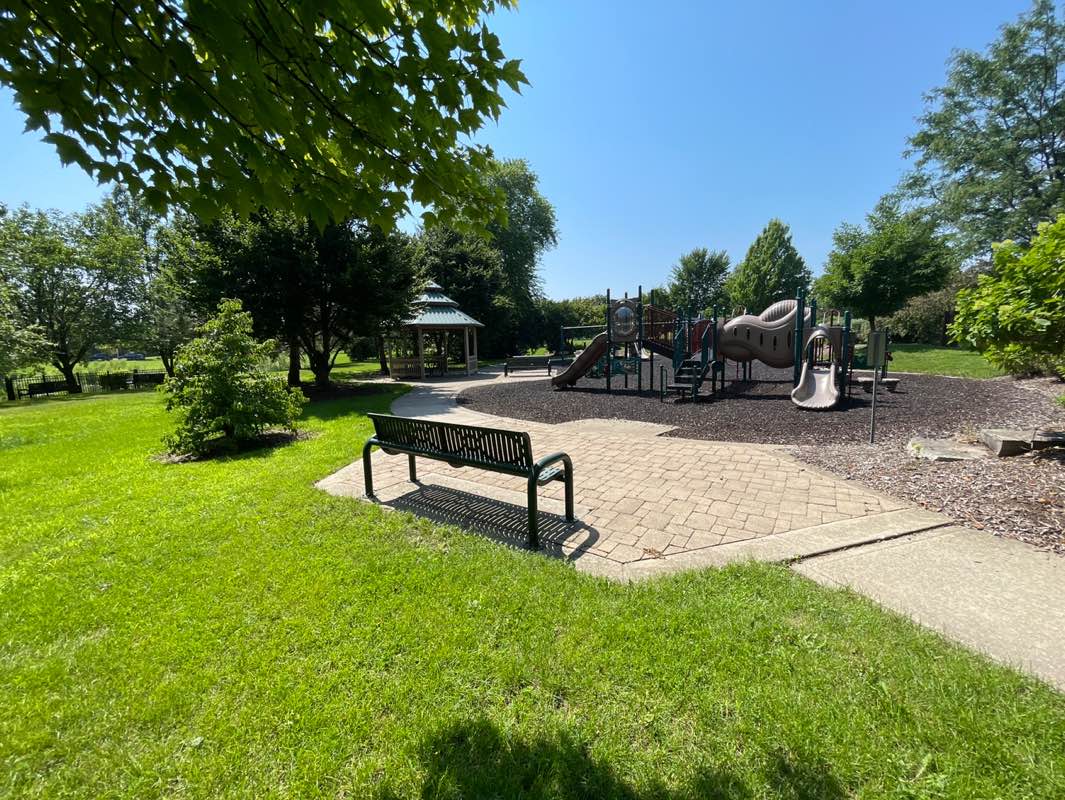 walking near me in Torrey Pines Park in autumn