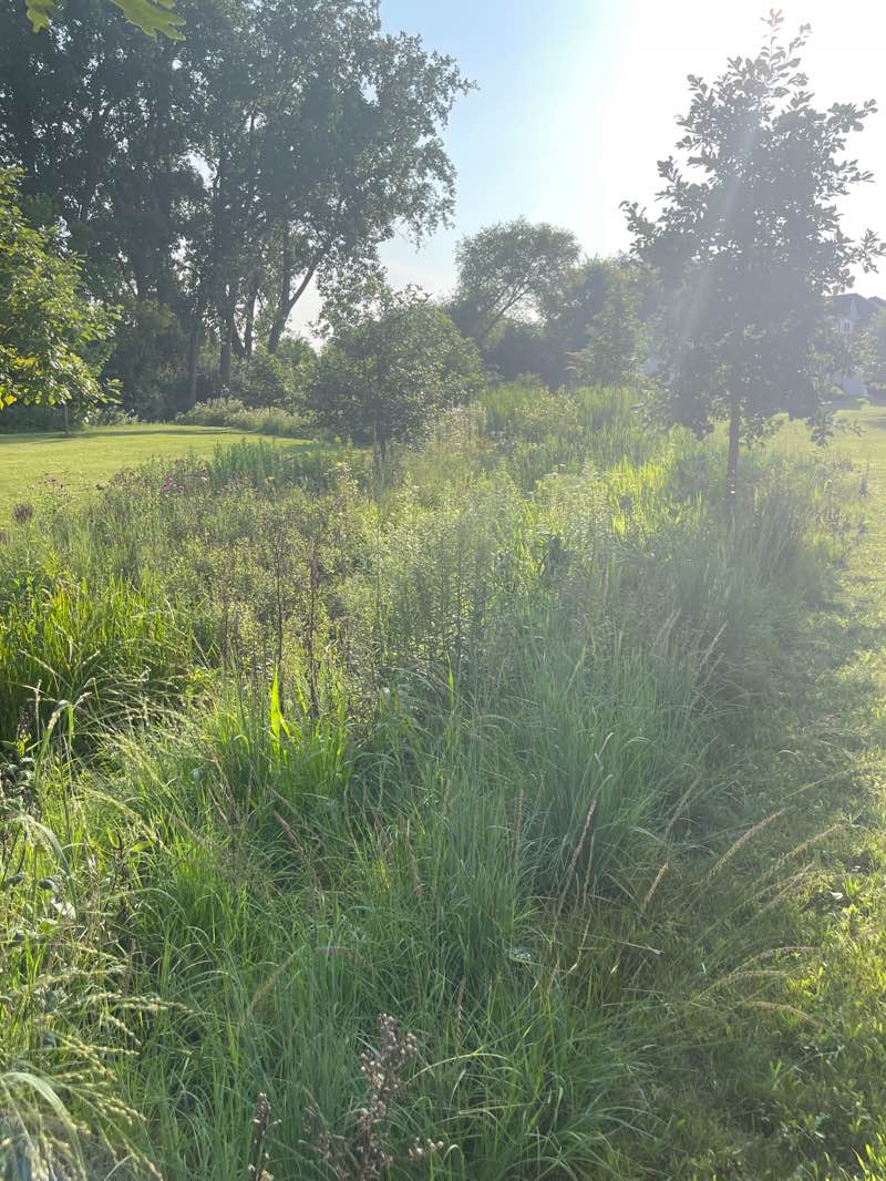 walking near me in Beaver Creek Park in autumn